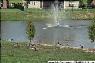 3rd image of 15239 Salerno Dr