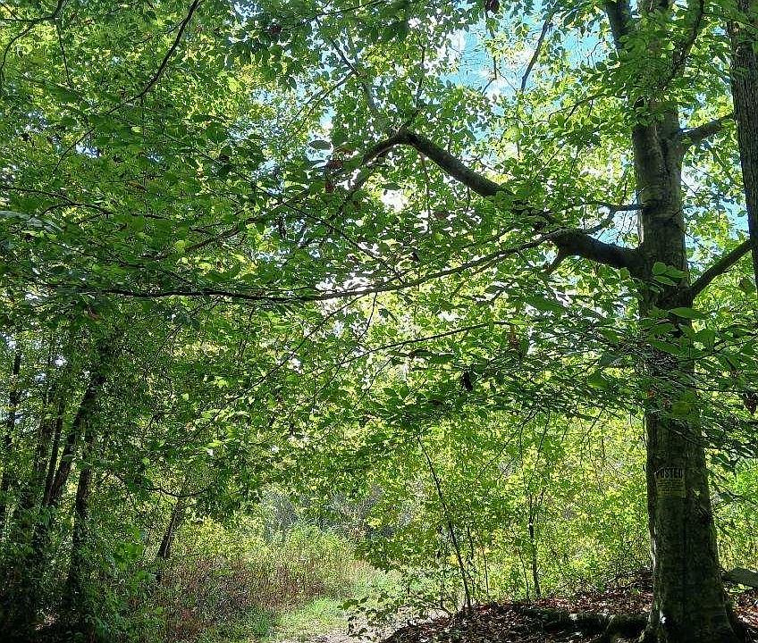 2nd image of 300 Rush Branch Rd