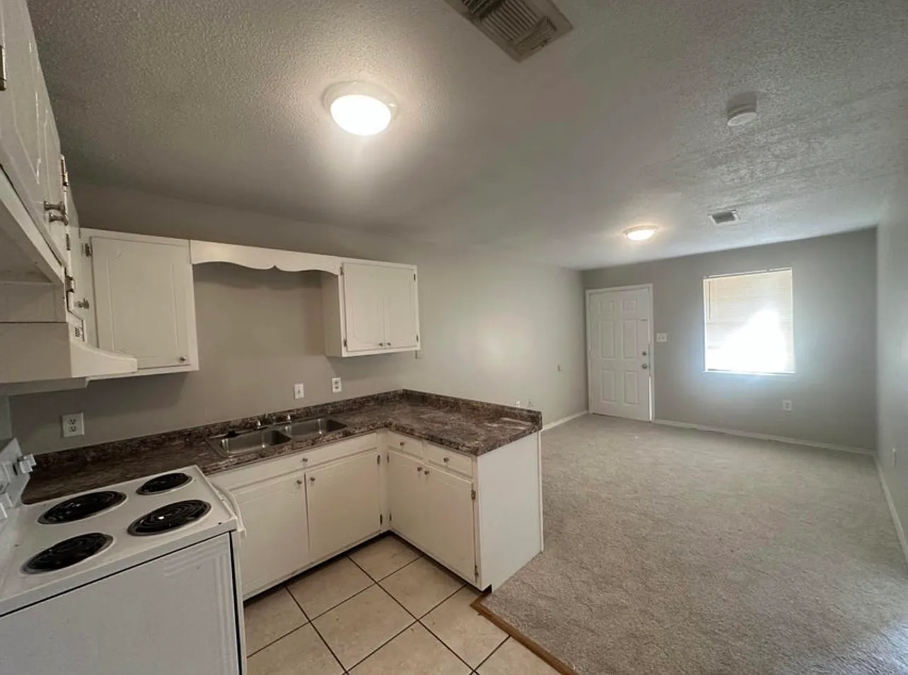 2 bed, $800 — Photo 3