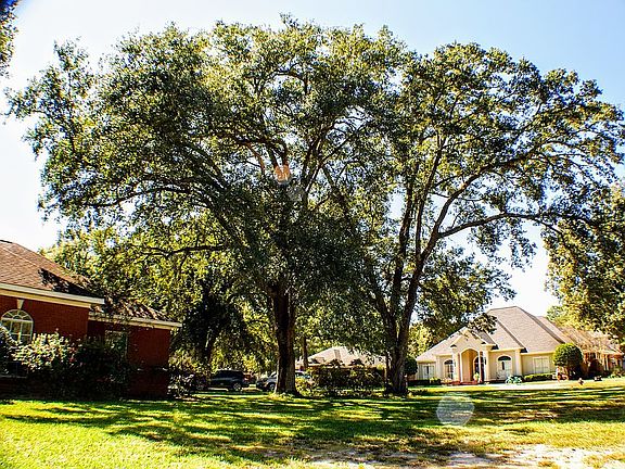 4th image of 344 Wt Phillips Dr