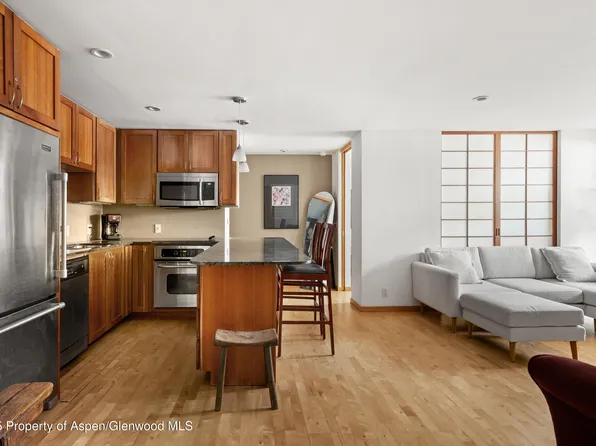 935 E Hopkins Ave #7, Aspen, CO 81611