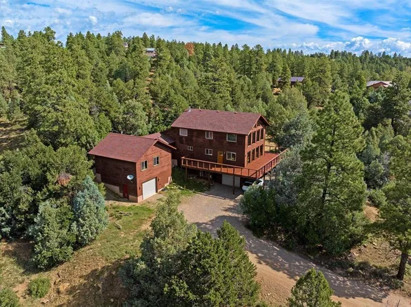 199 Logging Trail Road, Durango, CO 81301
