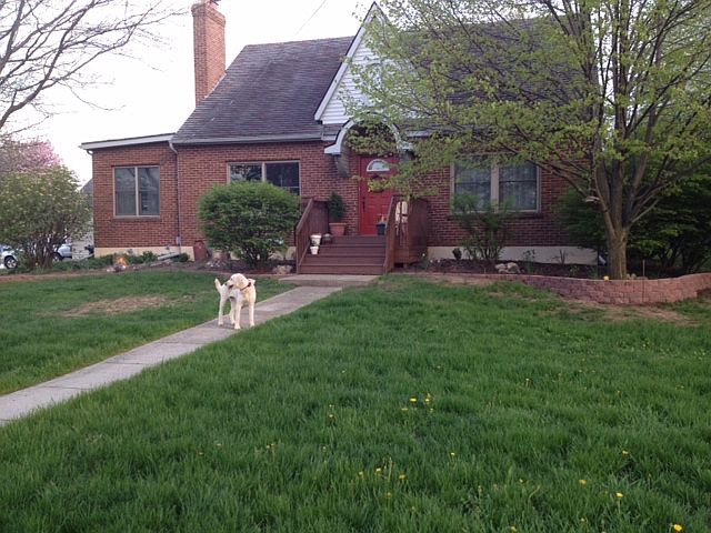 1st image of 3995 Sun Rapids Dr