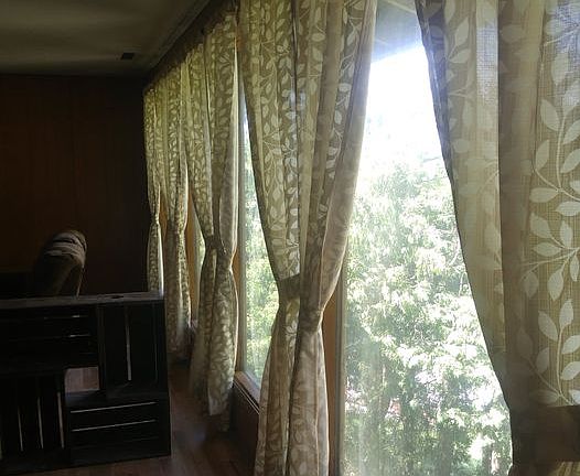 Living room windows and curtains from dining room door