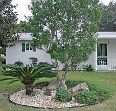 Lush Landscaping
