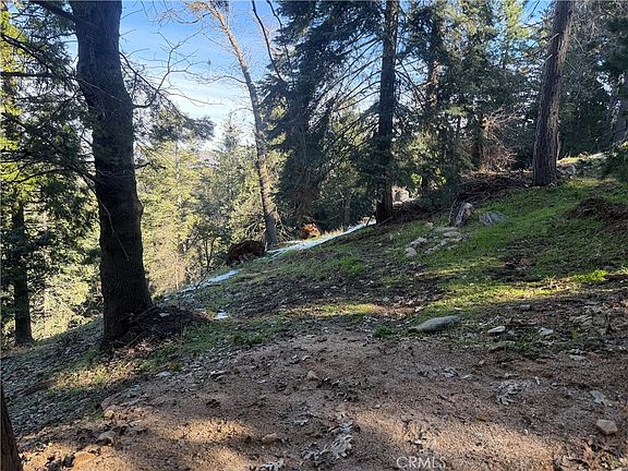 4th image of 24989 Highland Dr #3