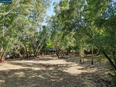 1491 Boulevard Way, Walnut Creek, CA, 94595