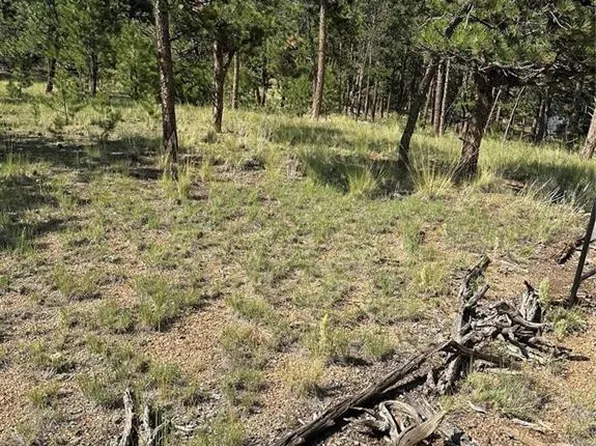 315 Thunder Ridge Rd, Florissant, CO 80816