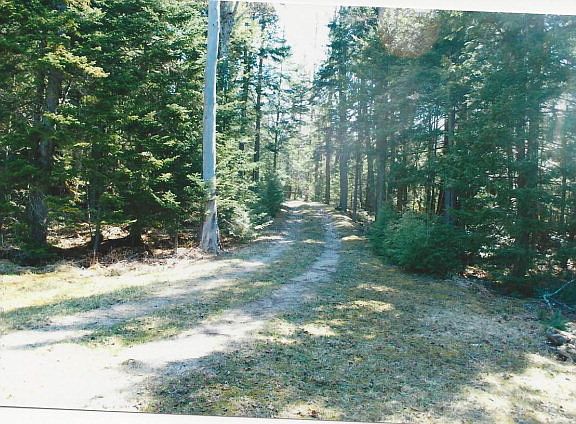 5th image of 12 Hemlock Dr