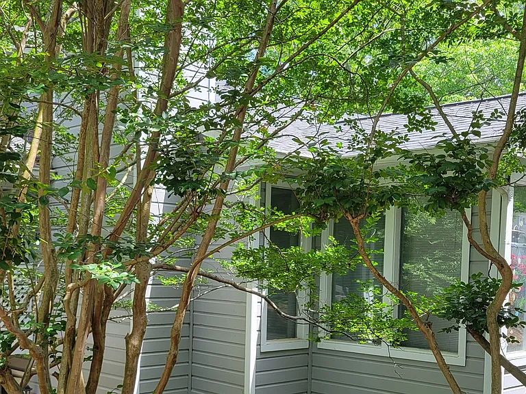 805 Vicksburg Pl — Photo 2