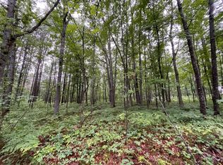 340 Starlight Rd, Roscommon, MI 48653