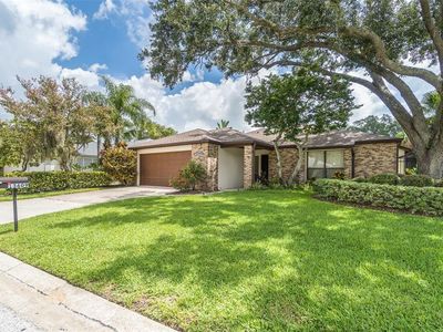 13609 Clubside Dr, Tampa, FL, 33624