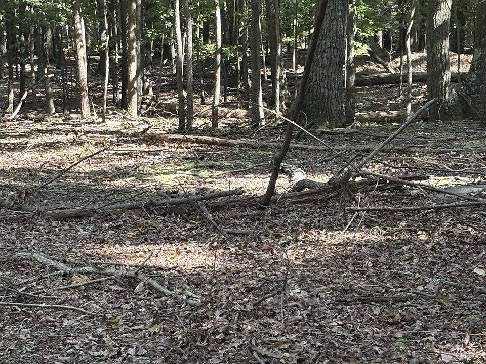 1st image of Terrain Dr
