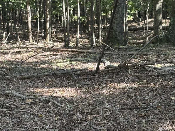 Terrain Dr, Hedgesville, WV 25427