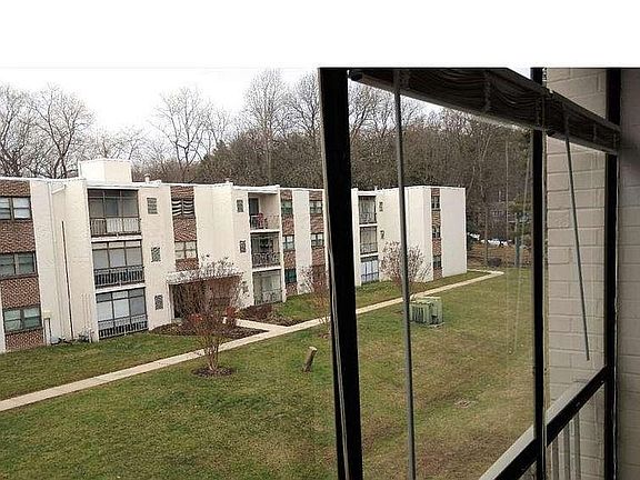 backyard view from balcony