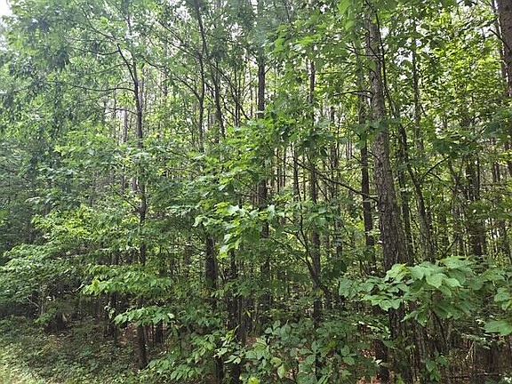 5th image of 691 Miller Camp Rd