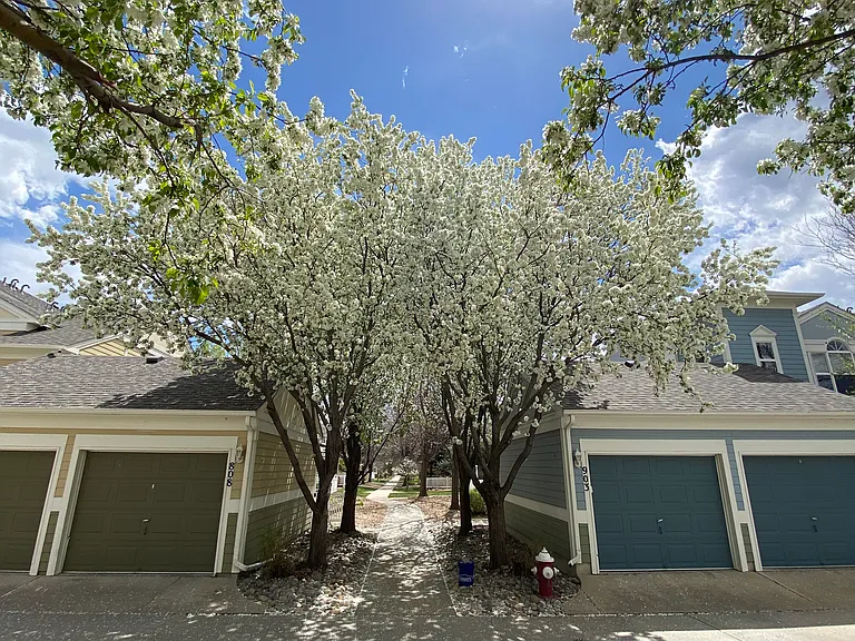 640 Gooseberry Dr #903 — Photo 20