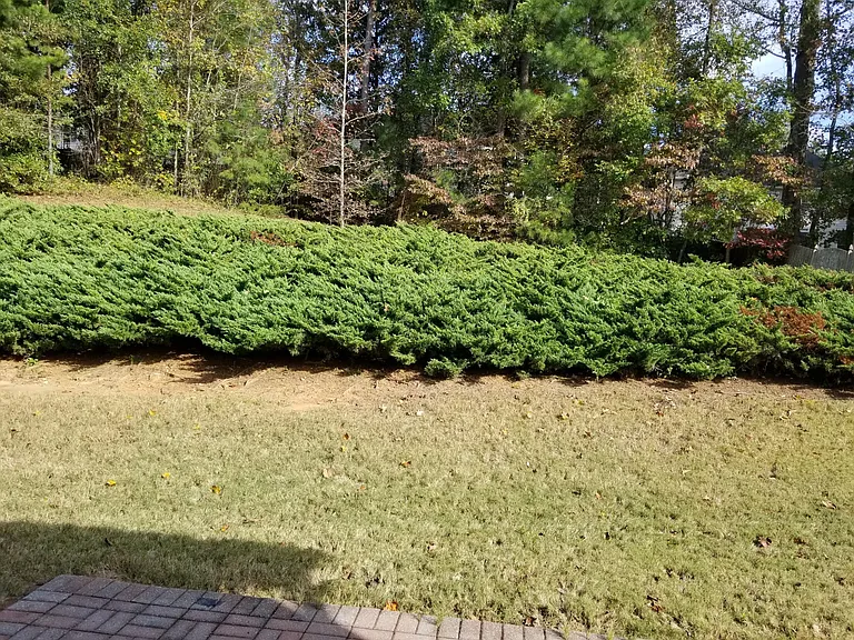 Lake Forest Dr — Photo 25