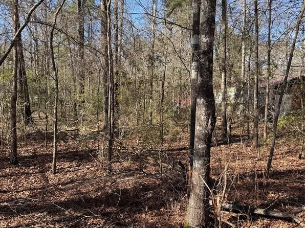 Tbd Jaycrest, Livingston, TX 77351