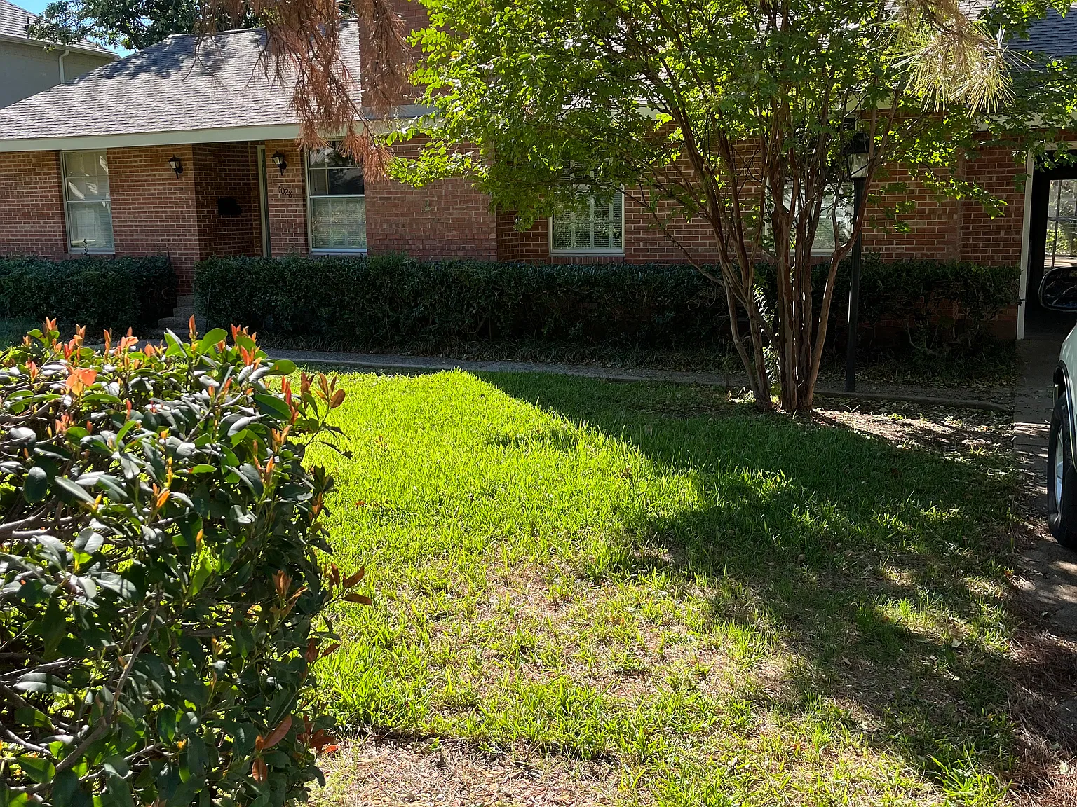 2 bed, 1538 sqft, $2,400 — Photo 2