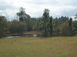 1499 Brangus Rd, Middleburg, FL 32068