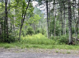 L12 Balsam Dr, Indian Lake, NY 12842