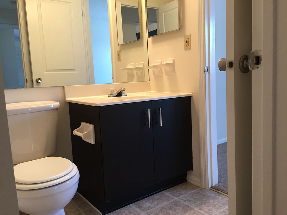 Bathroom Sink View