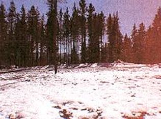 245 Golf Crse, Winter Park, CO 80482