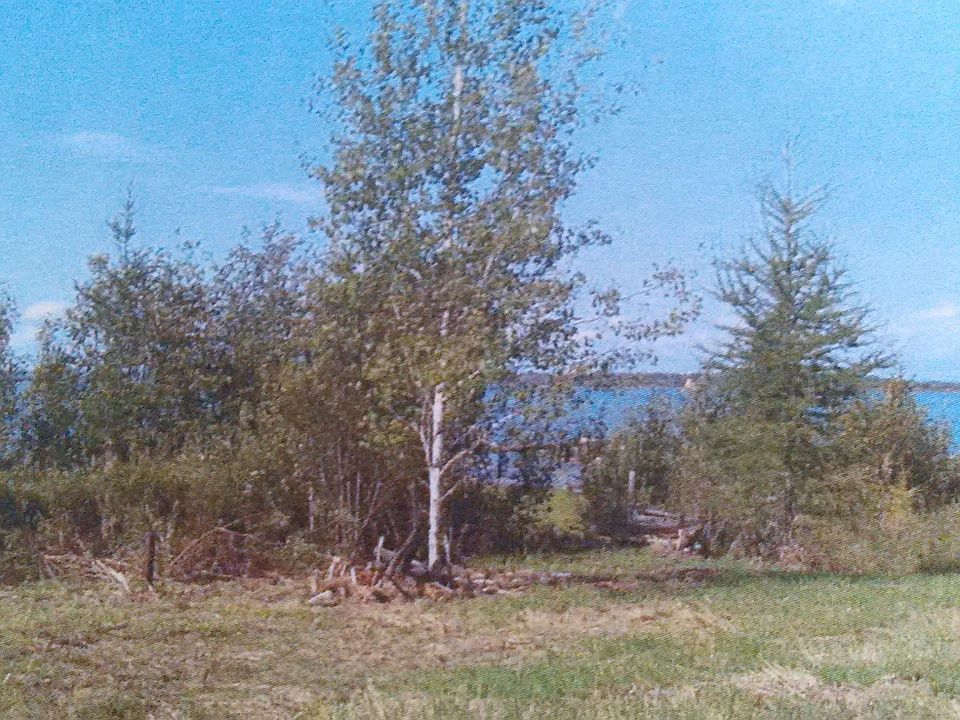 1st image of 15331 S Scenic Dr