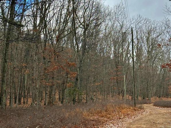 30 & 31 Boonedock Dr, Upper Tract, WV 26866