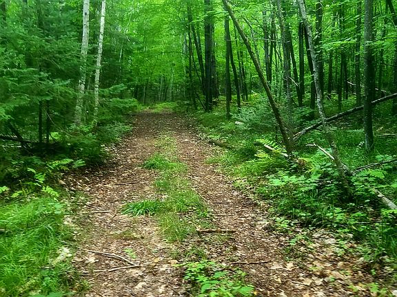 4th image of Whippoorwill Dr