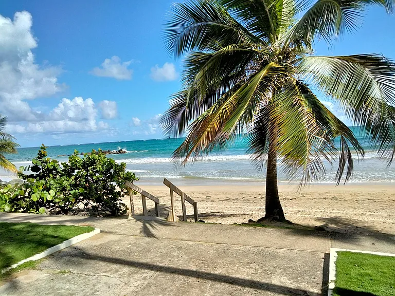 3409 Avenue Isla Verde #105 — Photo 8