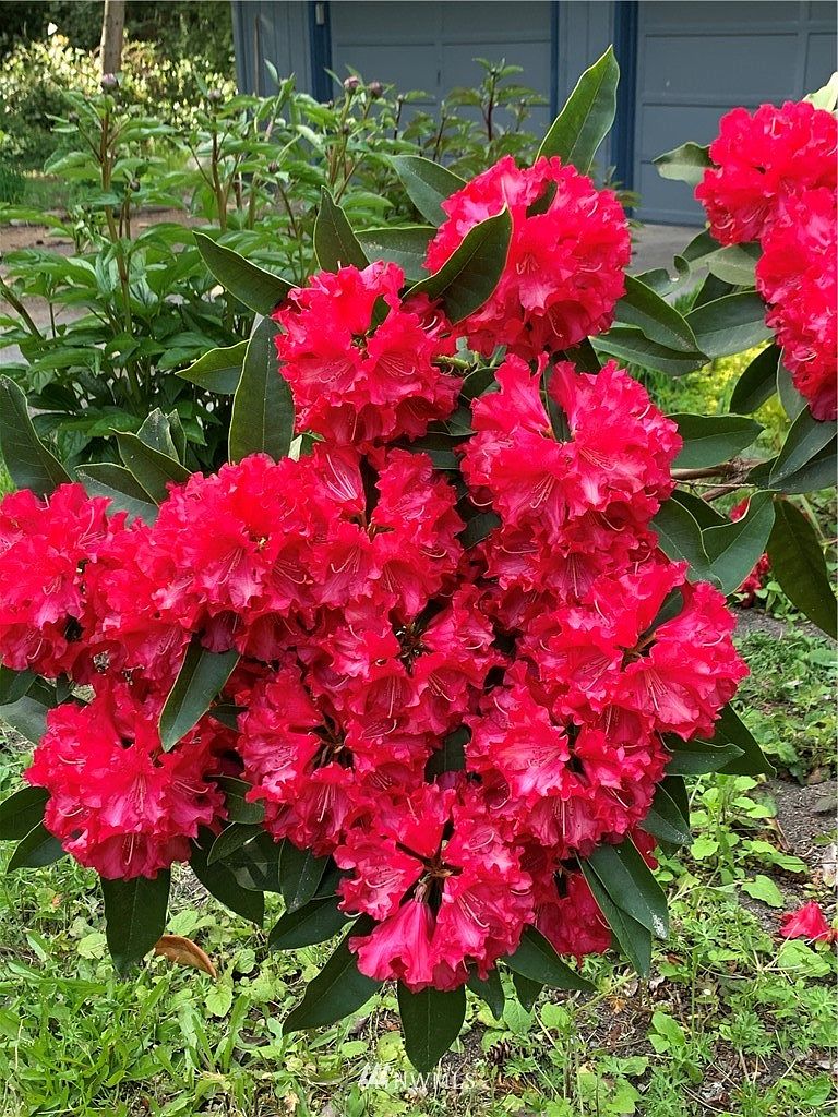 Coupeville, WA 98239