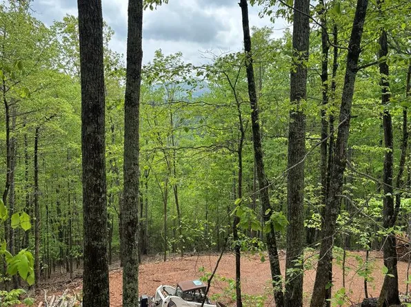 4-25 Sahkanaga Dr, Murphy, NC 28906