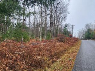 Thompson Road, Thompsonville, NY 12784