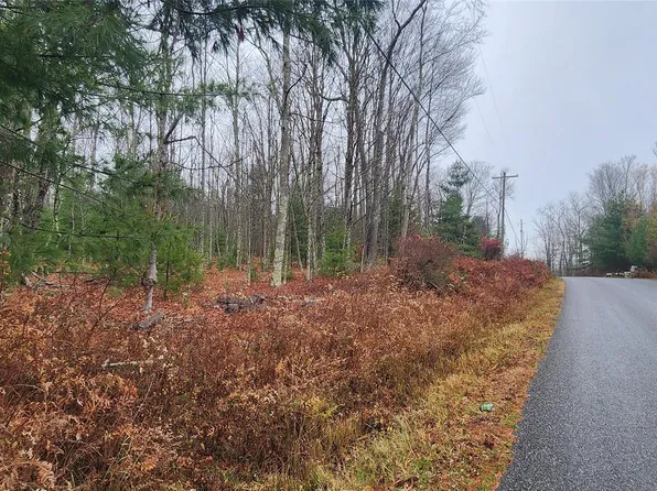 Thompson Road, Thompsonville, NY 12784