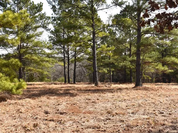 LOT 24 An County Rd #148, Palestine, TX 75801