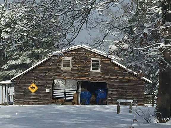 Winter in the Carolinas!