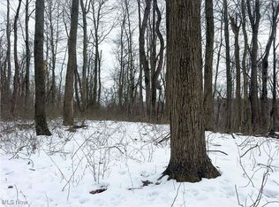 5980 Riggle Hill Rd NE, Somerdale, OH 44678