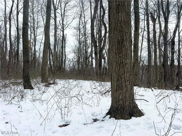 5980 Riggle Hill Rd NE, Somerdale, OH 44678