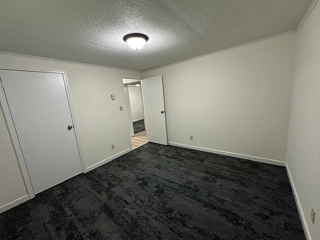 2924 New Hope Rd — Photo 23