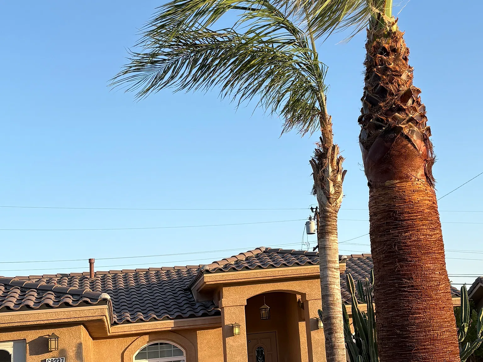 3 bed, 1643 sqft, $3,700 — Photo 3