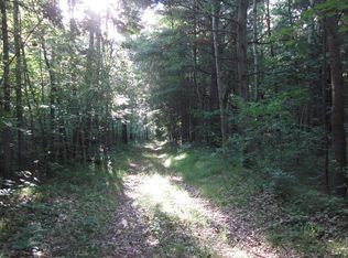 S Townhall Rd, Stanton, MI 48888