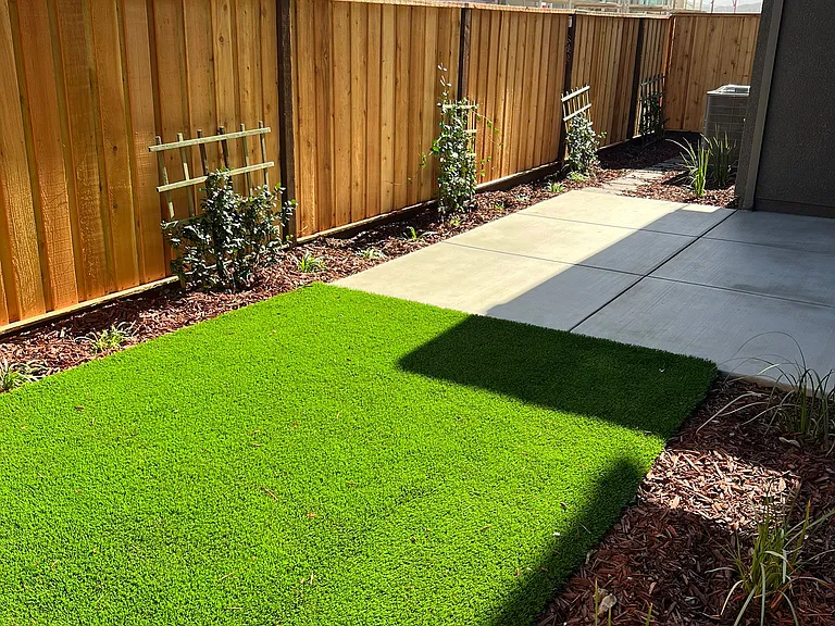 Maintenance Free Backyard