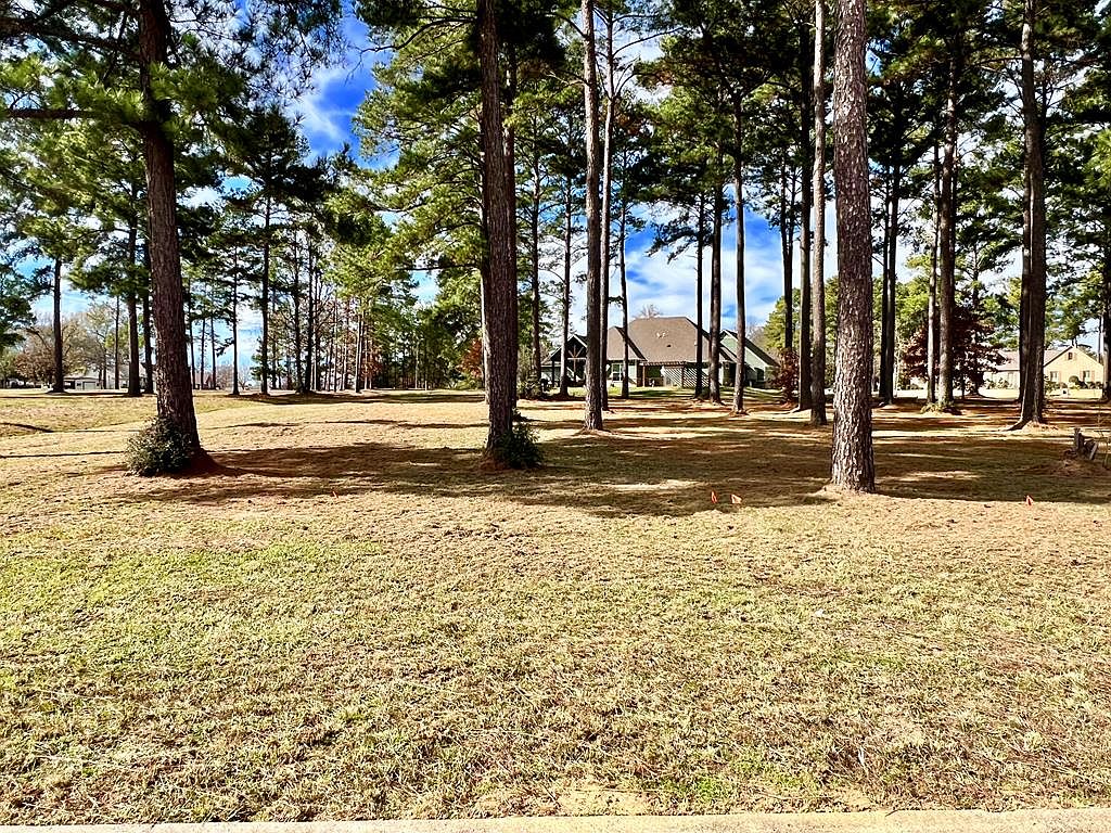 LOT 16 Magnolia Dr, Diboll, TX 75941 MLS 72157 Zillow