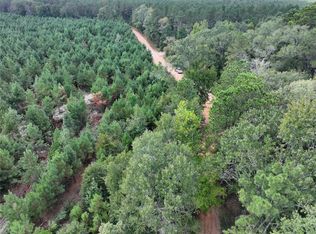 1 Bracewell Cemetary Rd, Livingston, TX 77351