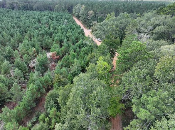 1 Bracewell Cemetary Rd, Livingston, TX 77351