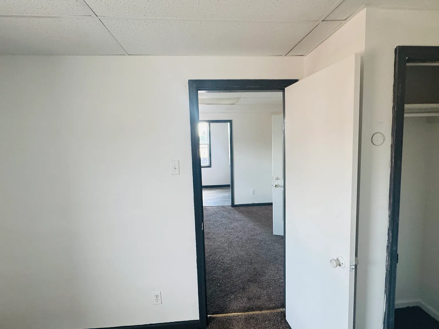 1 bed, $900 — Photo 2