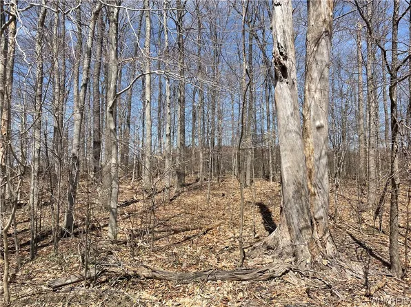 Heath Rd #44, Colden, NY 14033