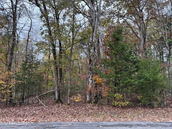 287 Elohi Way, Loudon, TN 37774